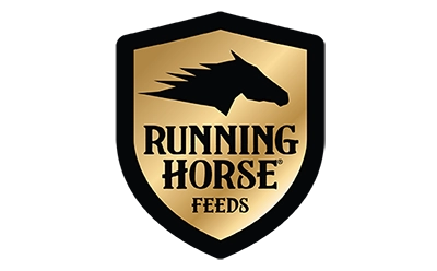 runninghorse